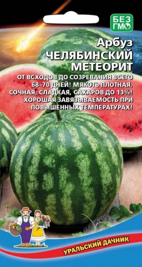 Челябинский метеорит Ц(УД) ()