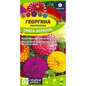 Помпонная смесь Ц(Алт)