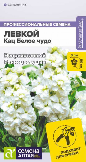 Кац Белое чудо махровый Ц(Алт)