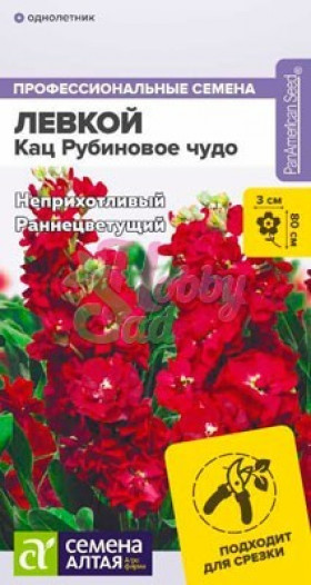 Кац Рубиновое чудо махровый Ц(Алт)