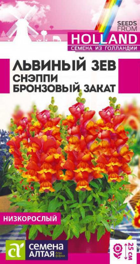 Снэппи Бронзовый закат Ц(Алт)