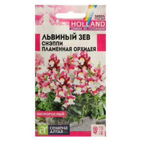 Снэппи Пламенная орхидея Ц(Алт)