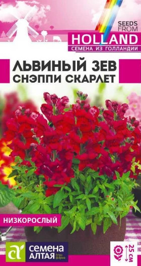Снэппи Скарлет Ц(Алт)