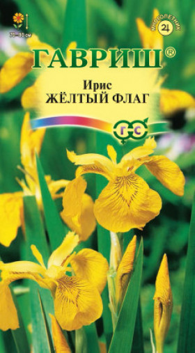 Желтый флаг (болотный) Ц(Г)