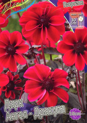 Дарк Ангел Дракула 1 шт