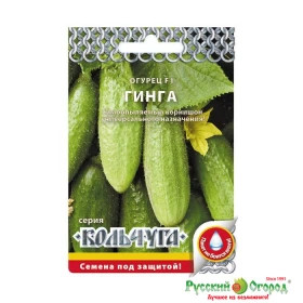 Гинга Кольчуга