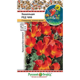 Ред Чиф Ц(Н)