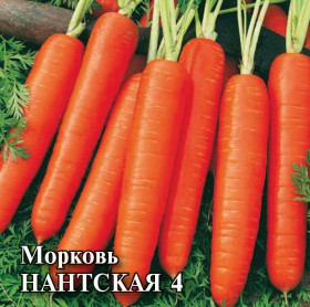 Нантская 4 25 гр\Гавриш