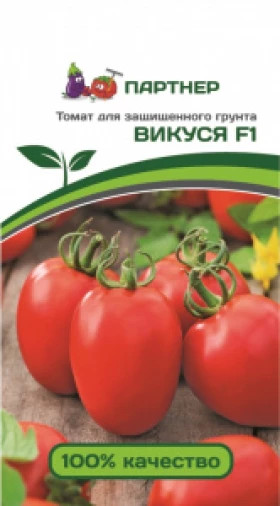 Викуся 10шт Партнер