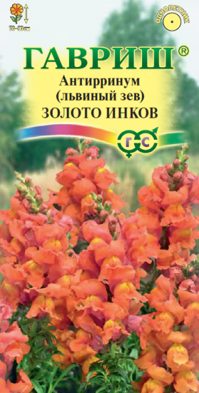 Золото инков Ц(Г)