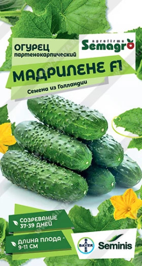 Мадрилене Ц(А)