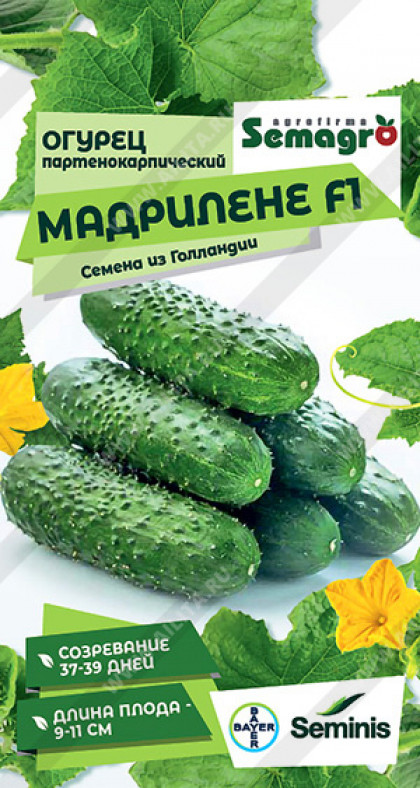 Мадрилене Ц(А)