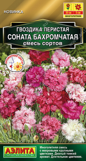 Соната бахромчатая смесь Ц(А)