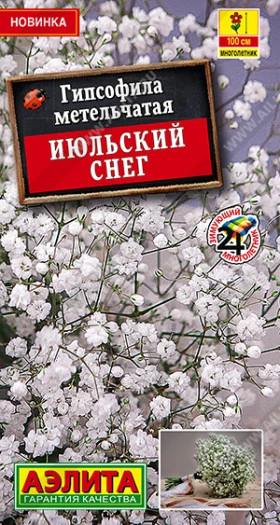 Июльский снег махровая Ц(А)