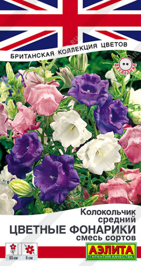 Цветочные фонарики Ц(А)