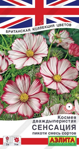 Сенсация пикоти Ц(А)