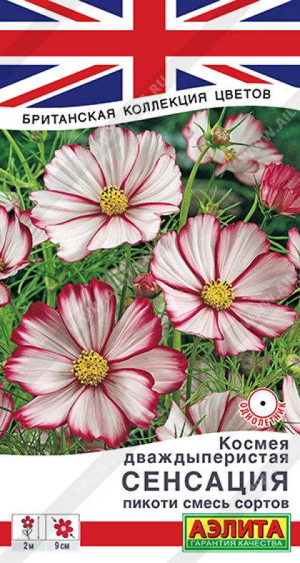 Сенсация пикоти Ц(А)