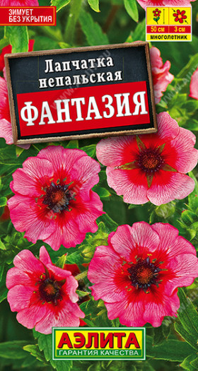 Фантазия Ц(А)