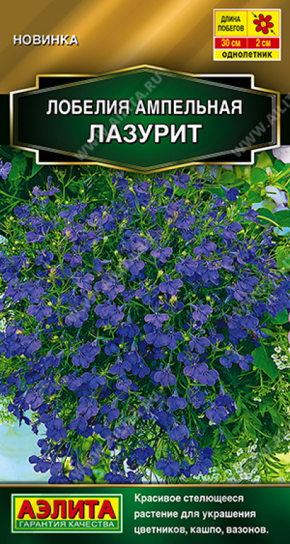 Лазурит ампельная Ц(А)