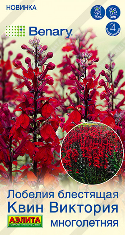 Квин Виктория Ц(А)