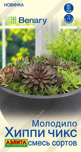 Хиппи чикс смесь Ц(А)