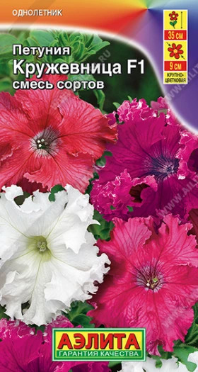 Кружевница крупноцв.бахромчатая Ц(А)