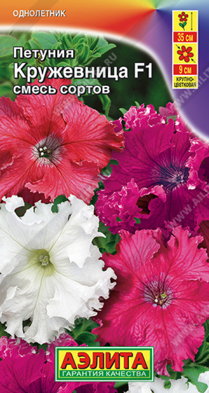 Кружевница крупноцв.бахромчатая Ц(А)