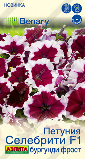 Селебрити Бургунди фрост многоцветковая Ц(А)