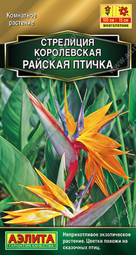 Райская птичка королевская Ц(А)