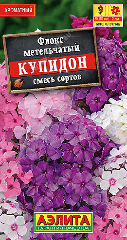 Купидон метельчатый смесь Ц(А)