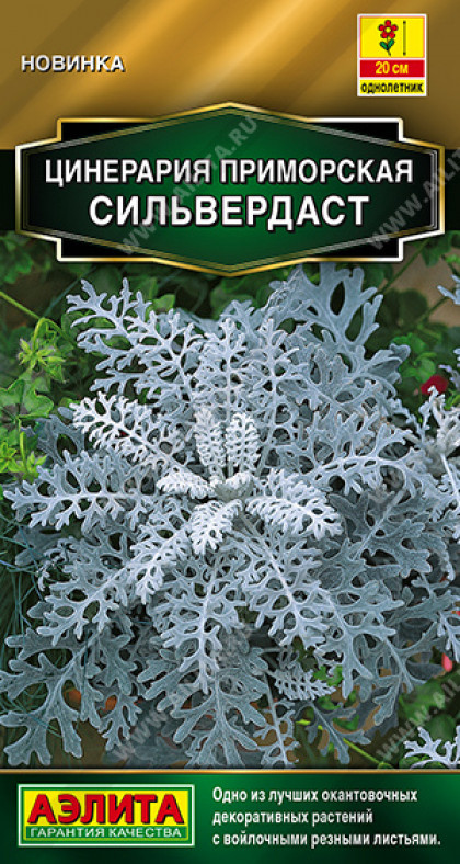 Сильвердаст Ц(А)