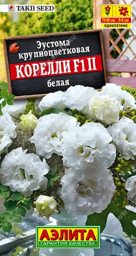 Корелли белая Ц(А)