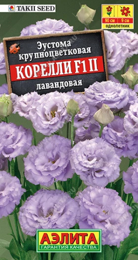 Корелли лавандовая Ц(А)