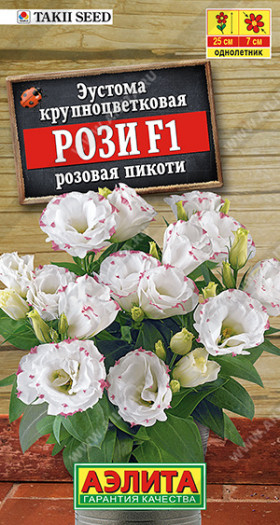 Рози розовая пикоти крупноцв. махровая Ц(А)