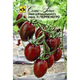 Черри Негро Семко