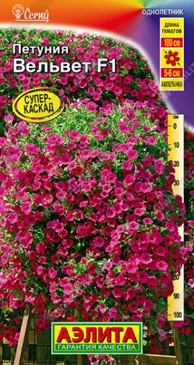Вельвет ампельная Ц(А)