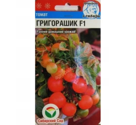 Григорашик СС