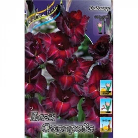 Блэк Сюрпрайз 10/12 10шт