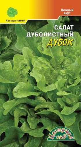 Дубок Цветущий сад