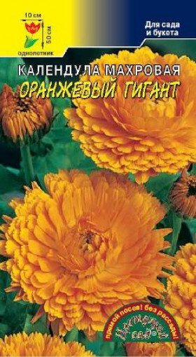 Оранжевый гигант махр/Цветущий Сад