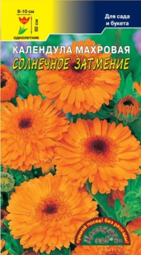 Солнечное затмение Цветущий сад