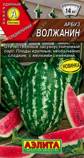 Волжанин Ц(А)