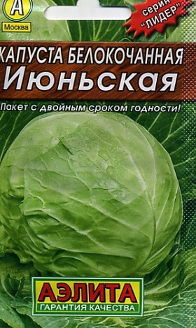 Июньская Лидер