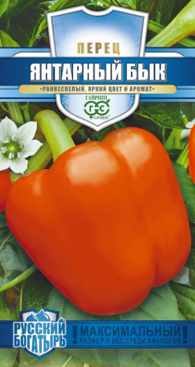 Янтарный Бык Ц(Г)