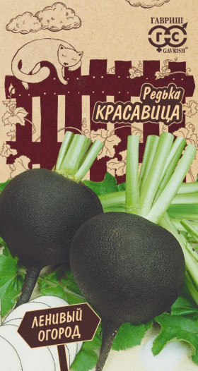 Красавица Ц(Г)