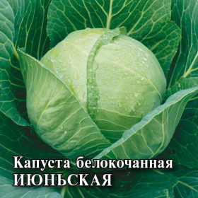 Июньская ранняя б/к 10г Гавриш