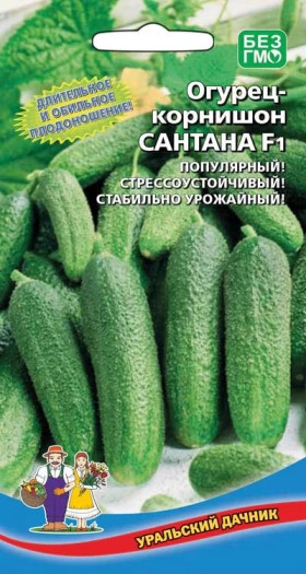 Сантана Ц(УД)