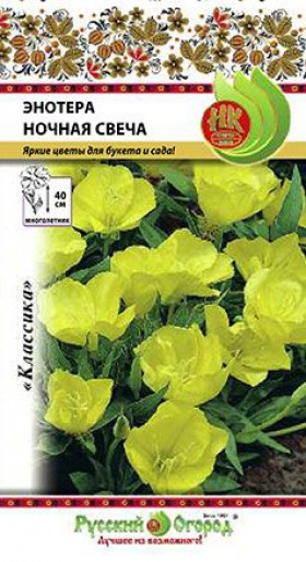 Ночная свеча Ц(Н)