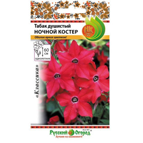 Ночной костер Ц(Н)