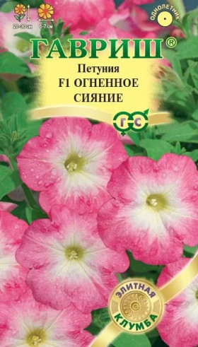 Огненное сияние. Ц(Г)